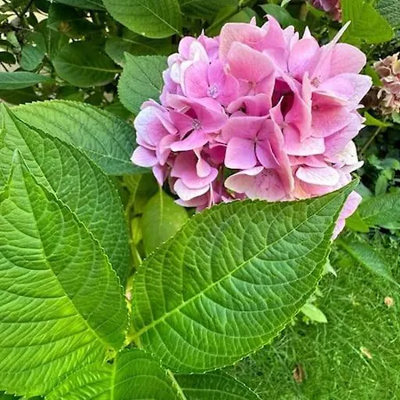 Apartmán Giulia, Strategic Position Turín