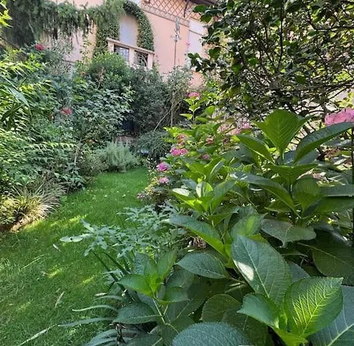 Giulia, Strategic Position トリノ